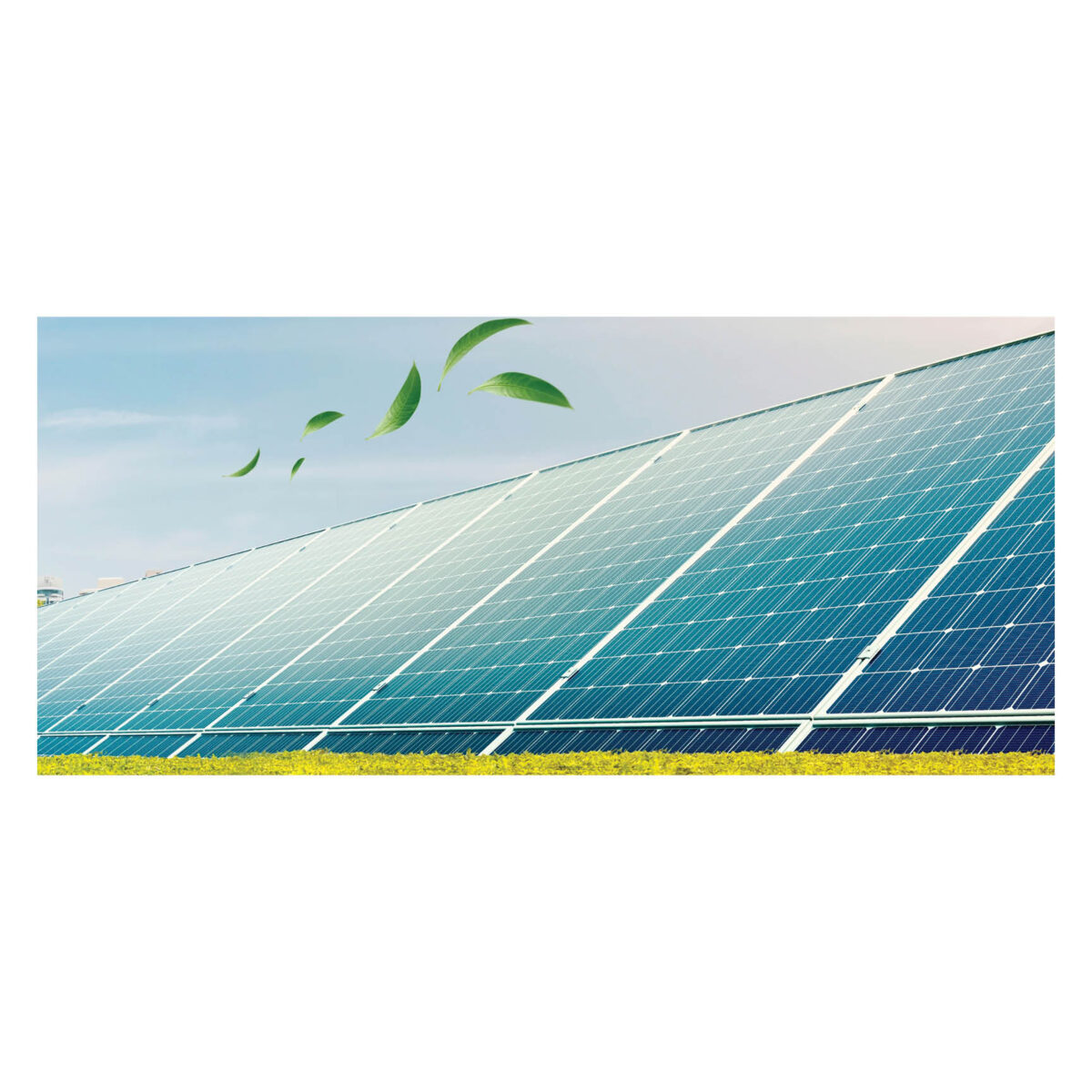 Bioclean solar panel cleaner - Image 3