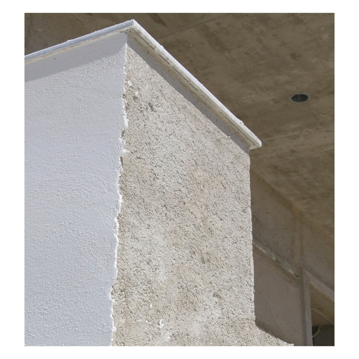 D-20 - Image 2