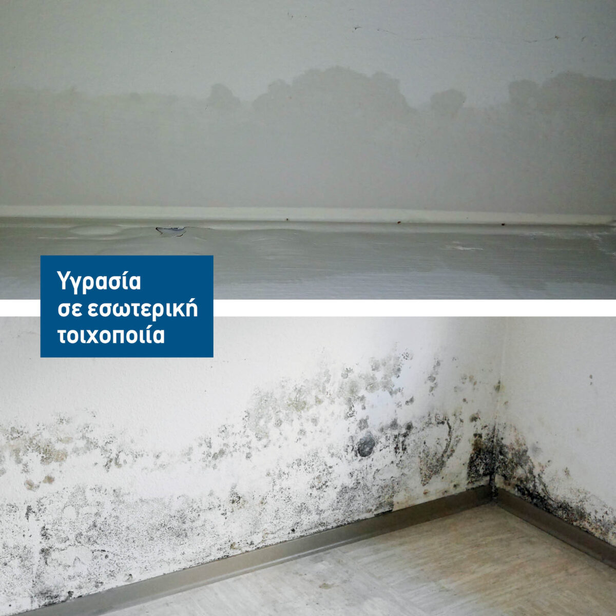 Hydrostop Wall - Image 3