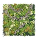 ΚΑΘΕΤΟΣ ΚΗΠΟΣ AMSTERDAM 100 Χ 100 F213 NewPlan